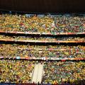 South Africa's Rise and Fall At The World Cup