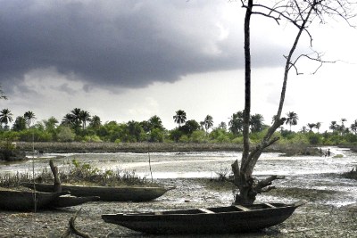 Niger Delta: Shell oil spill.