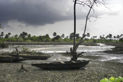 Shell oil spill at Goi, Ogoni Land, Niger Delta (file photo).