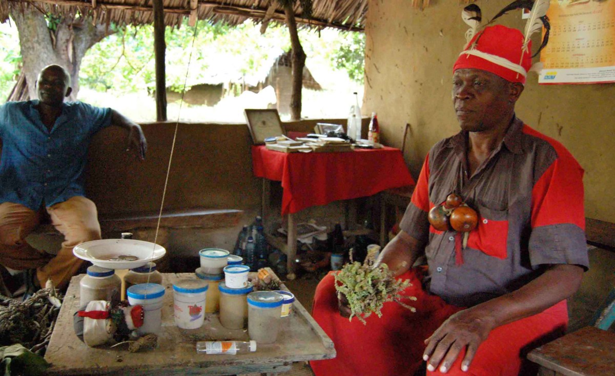 La JournÃ©e de la mÃ©decine traditionnelle africaine 2020