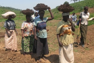Rwanda: Des femmes agricultrices