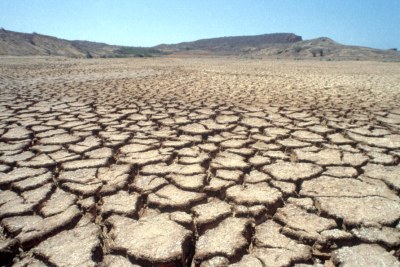 Région affectée par la sécheresse, due à des chaleurs extrêmes, à Popenguine au Sénégal.
