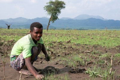 An Ethiopian farmer.
