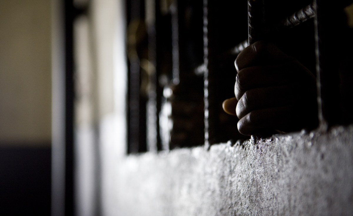 Infamous Prison Houdini Dies Behind Bars In South Africa Allafrica Com Infamous Prison Houdini Dies Behind Bars In South Africa Allafrica Com