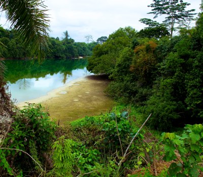 Greening of Gabon