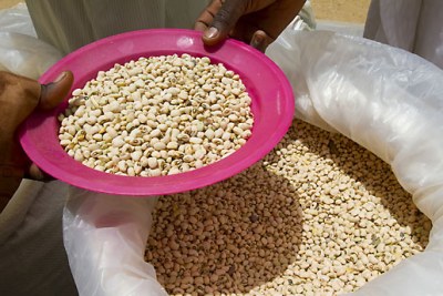 A solution used to the weevil problem in Nigeria, a triple-layer bag that protects cowpeas during storage without the use of pesticides (file photo).