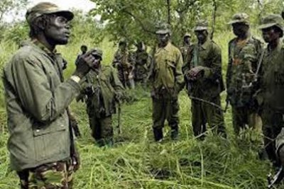 UN council calls for LRA ivory poaching investigation (file photo).