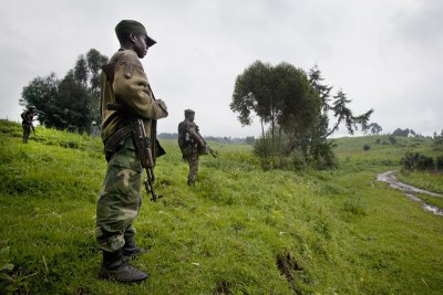 Des soldats congolais au Nord-Kivu le long de la frontière avec le Rwanda