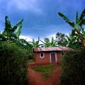 Curbs on Land Use Rights in Rwanda