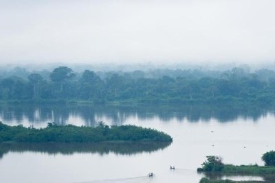 Exploitation Forestière illégale en RDC