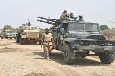 Boko Haram: Joint clearance operations with Cameroonian soldiers