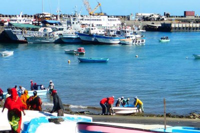 La pêche est l’une des principales industries aux Comores.