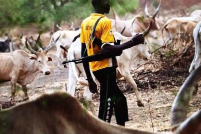 Fulani herdsman (file photo).