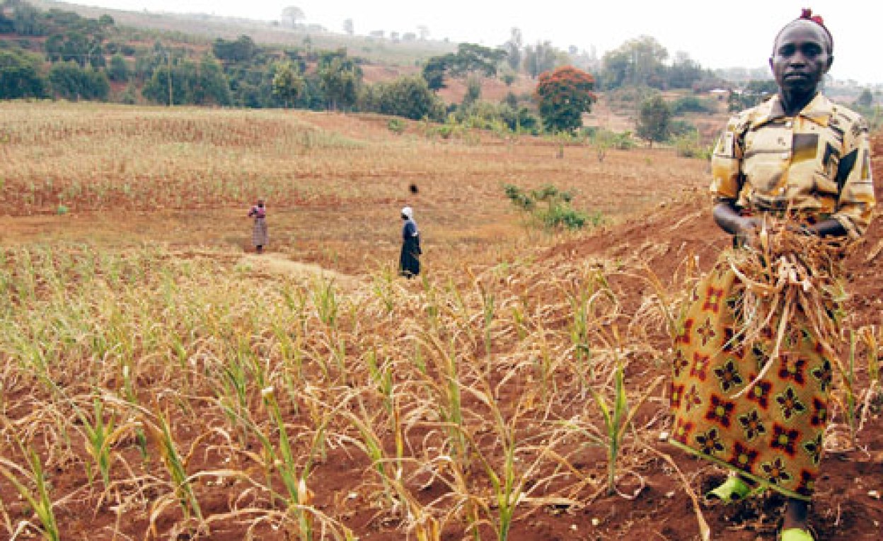 East Africa Rwanda Facing Worst Drought in 60 Years Minagri