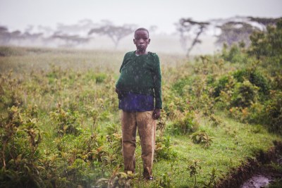 Les Massaïs du district de Ngorongoro, dans le nord de la Tanzanie, sont vulnérables au changement climatique. Le réchauffement de la planète a augmenté l'incidence de la sécheresse en Afrique de l'Est. Le phénomène El Niño de 2016 a été particulièrement dévastateur, avec une grave sécheresse suivie de pluies précoces d'une ampleur inattendue, ce qui a favorisé l'apparition de maladies humaines et animales.