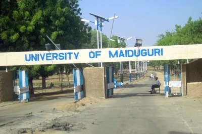 Université de Maiduguri au Nigéria