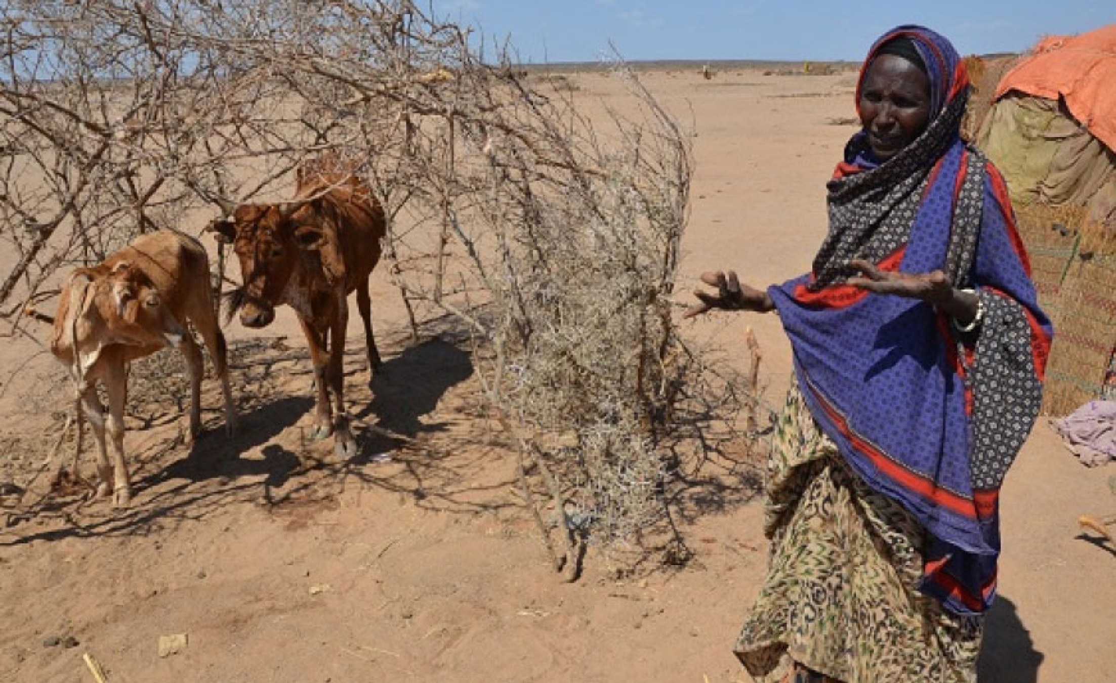 Ethiopia Africa's Hidden Crisis Conflict, Drought and Displacement