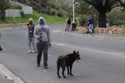 A man stands with a petrol bomb, while a dog watches patrol proceedings.