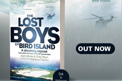 The cover of the book The Lost Boys of Bird Island.