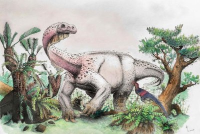 An illustration shows Ledumahadi mafube foraging in the early Jurassic of South Africa. In the foreground sits another South African dinosaur called Heterodontosaurus.