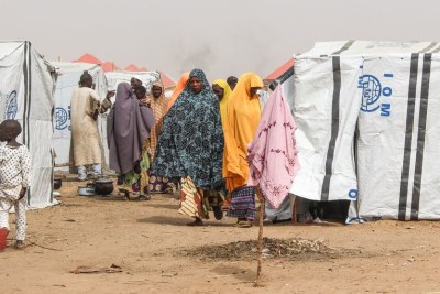 Gubio Camp in Maiduguri has received 4,500 new arrivals since November 2018, many of them in recent weeks following an attack by non-state armed groups in Baga, near the shores of Lake Chad, in north-east Nigeria.
