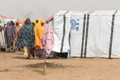 Gubio Camp in Maiduguri has received 4,500 new arrivals since November 2018, many of them in recent weeks following an attack by non-state armed groups in Baga, near the shores of Lake Chad, in north-east Nigeria (file photo).