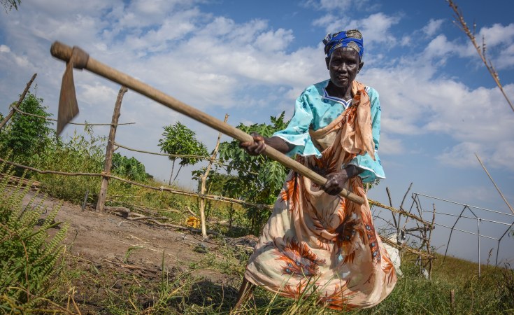 Malawi Food Crisis Looms As Nfra Maize Stocks Go Low Allafrica Com
