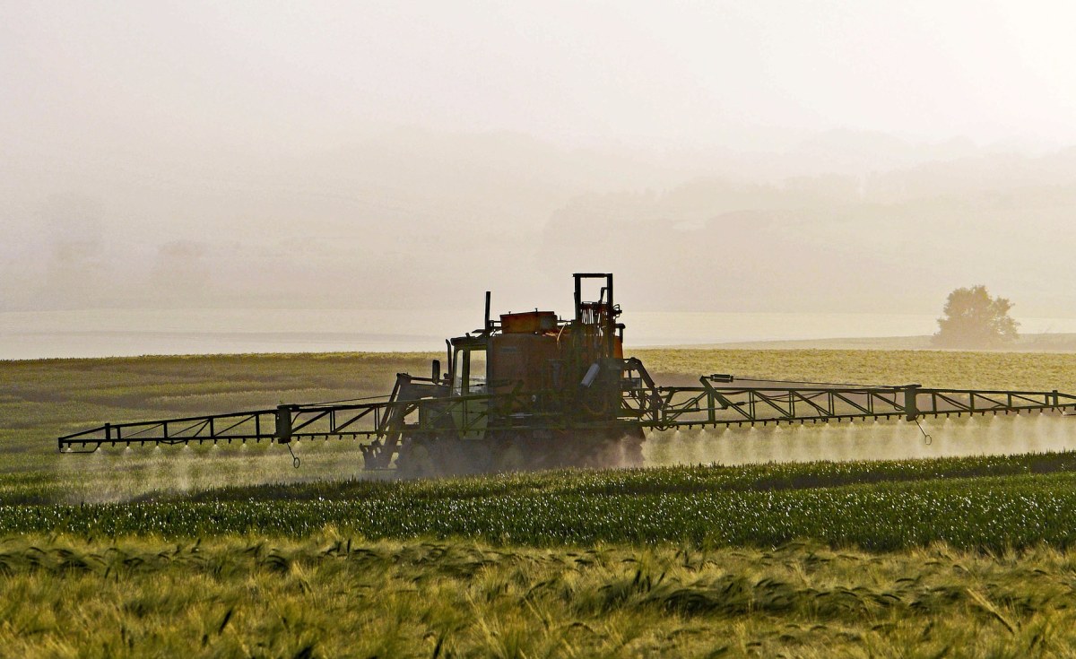 Rwanda: Why Agriculture Lags Behind in Strategic Plan Targets