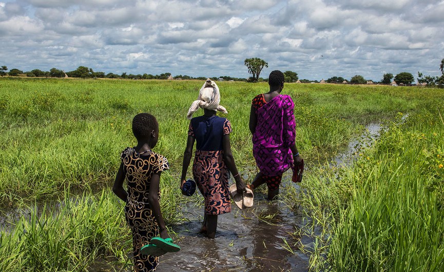 Food Insecurity Looms For South Sudan After Floods Wipe Out Crops - AllAfrica.com