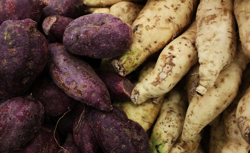 Nigeria Prices of Protein, CarbohydrateRich Foods in Nigeria Up 58