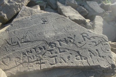 Graffiti obscures beautiful curved invertebrate traces on a rock surface in South Africa.
