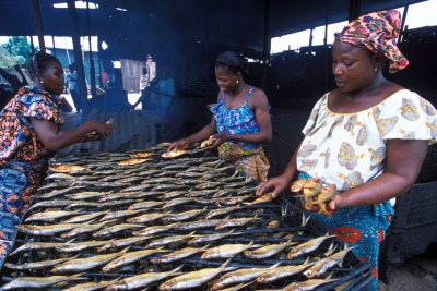 Women fish processors in West Africa.