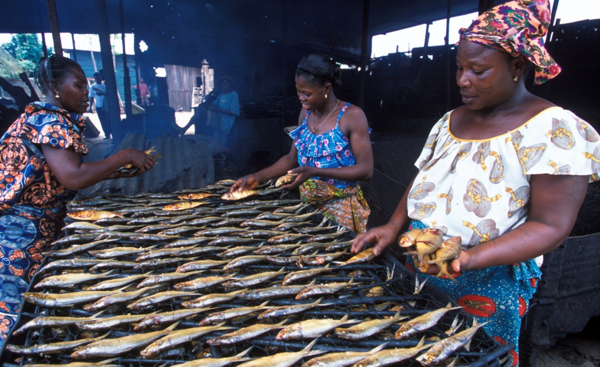 Cameroon: Unlocking the Potential of Aquaculture in Cameroon