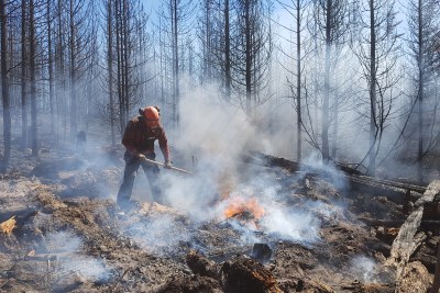 Firefighter puts out flames of a forest blaze in British Columbia, Canada (file photo).