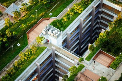 Green roofs can protect cities from climate change.