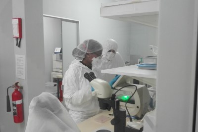Tuberculosis researchers working in a Biosafety Level 3 Lab at the University of Cape Town in 2017.