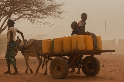 A family go in search of water in Burkina Faso where more than 950,000 people are severely food insecure, notably in the conflict-hit northern regions.