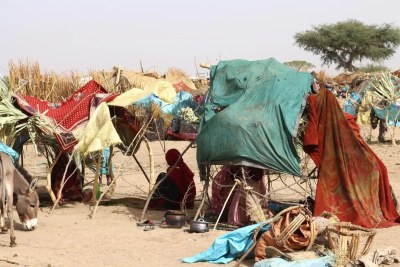 Sudanese refugees who have arrived in Chad.