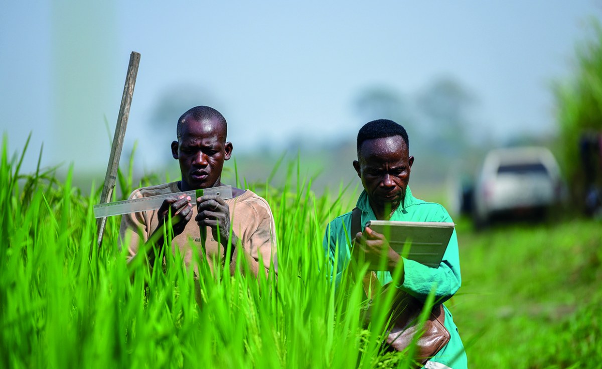 Africa: Climate-Smart Farming Gets Funding Boost at COP28, But Small Farmers Still Struggle